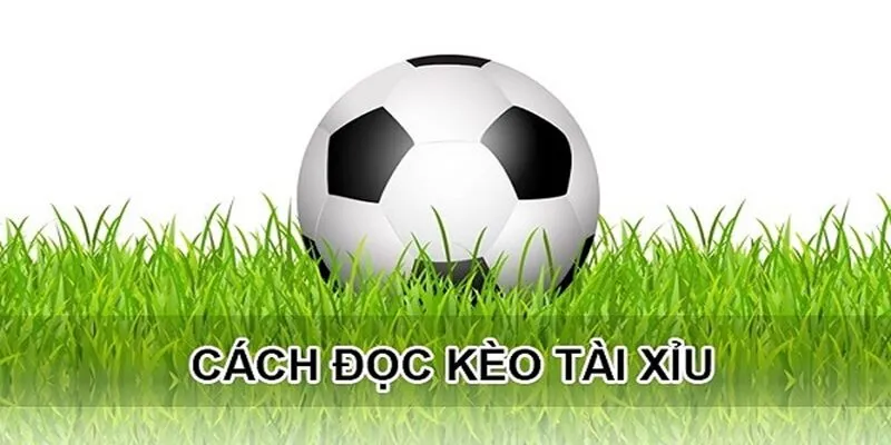 Hướng dẫn cách đọc kèo tài xỉu chuẩn xác 